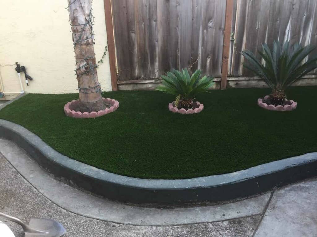 artificial grass around live plants